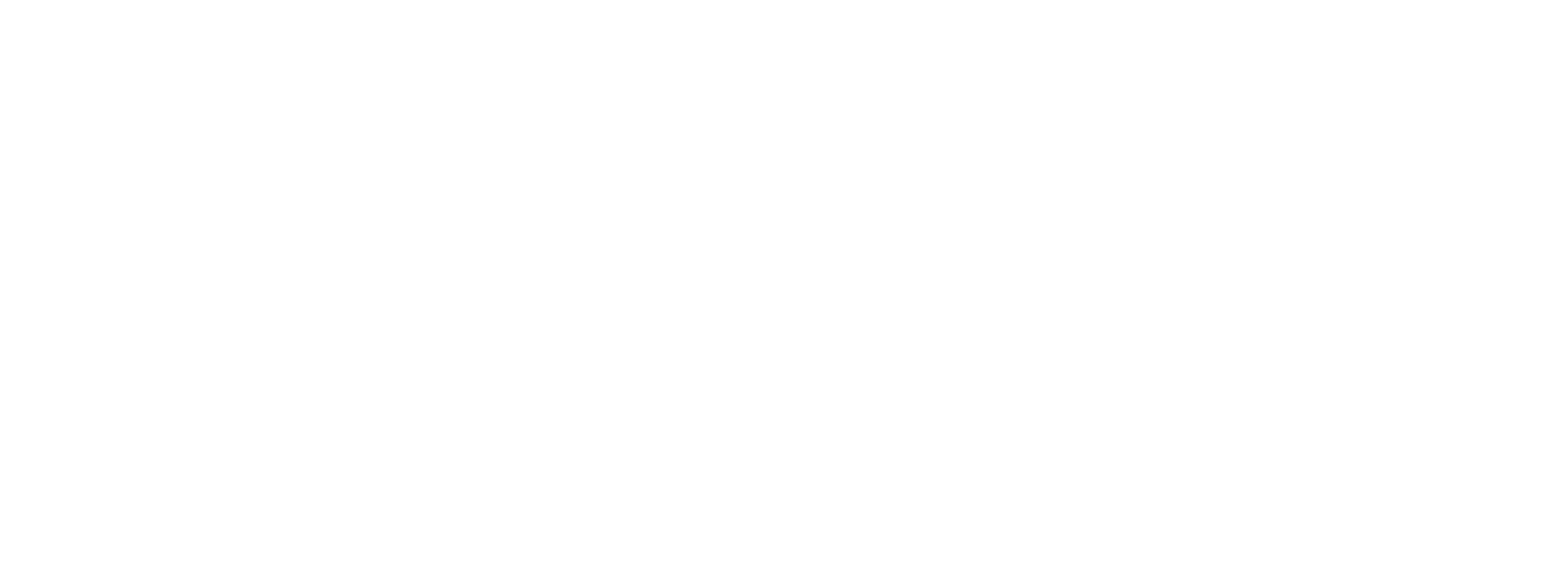 Ottica Visual Logo